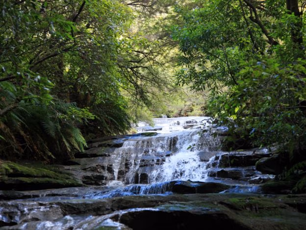 Blue Mountains NSW Australia scenery credit Tourism Australia (1)