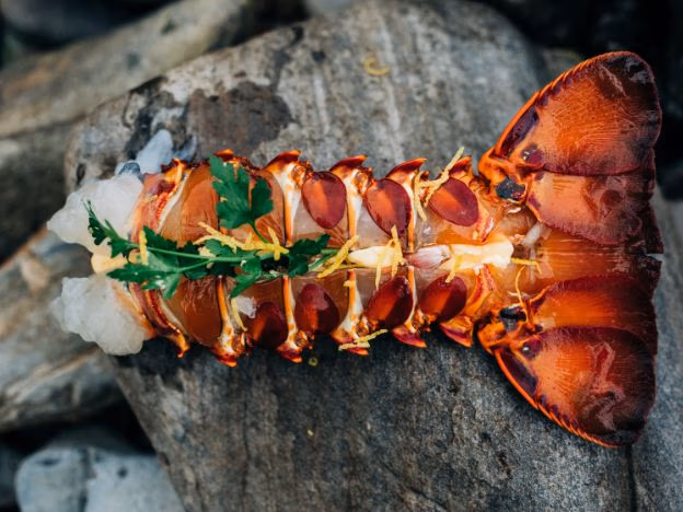 Tasmanian Crayfish