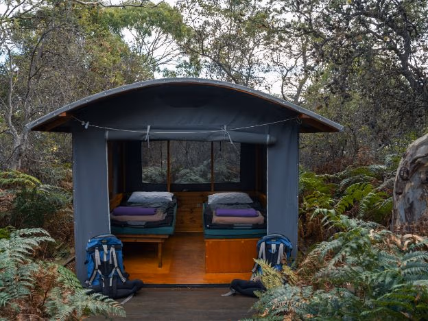 The Maria Island Walk-camping-hut-26