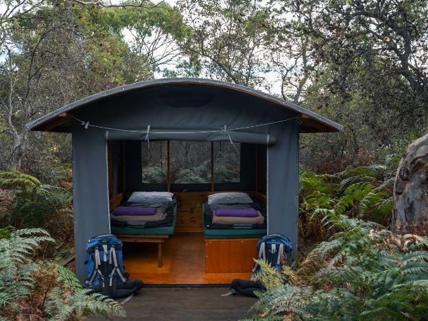 The Maria Island Walk-camping-hut-26