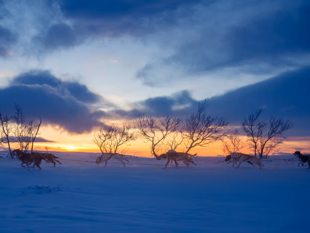 Hurtigruten_North-Cape-Express_6