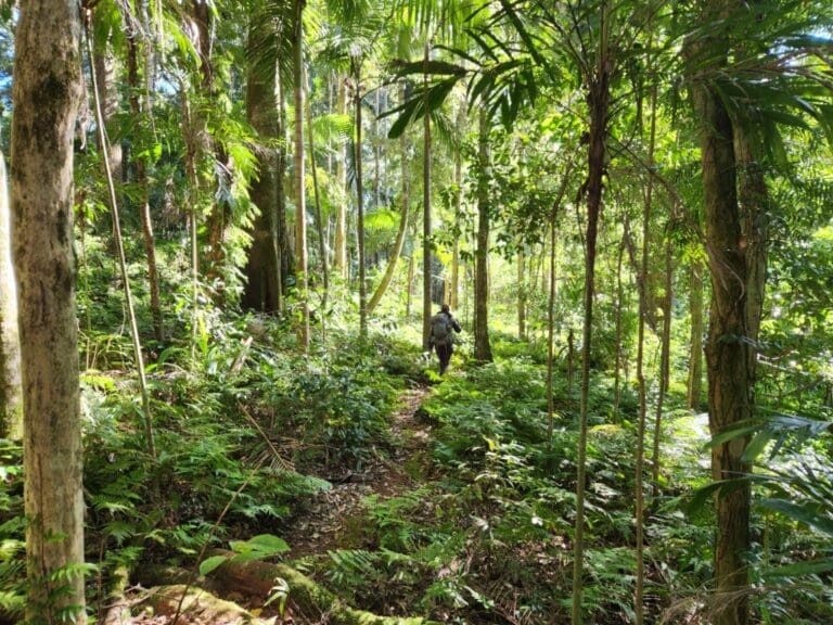 Scenic Rim Australia walking