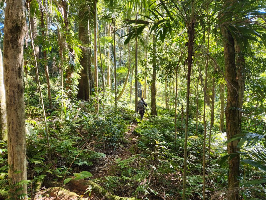 Scenic Rim Australia walking