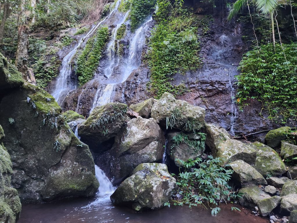 Scenic Rim Queensland Australia walking trail