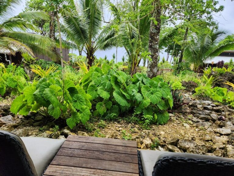 Niue (1)