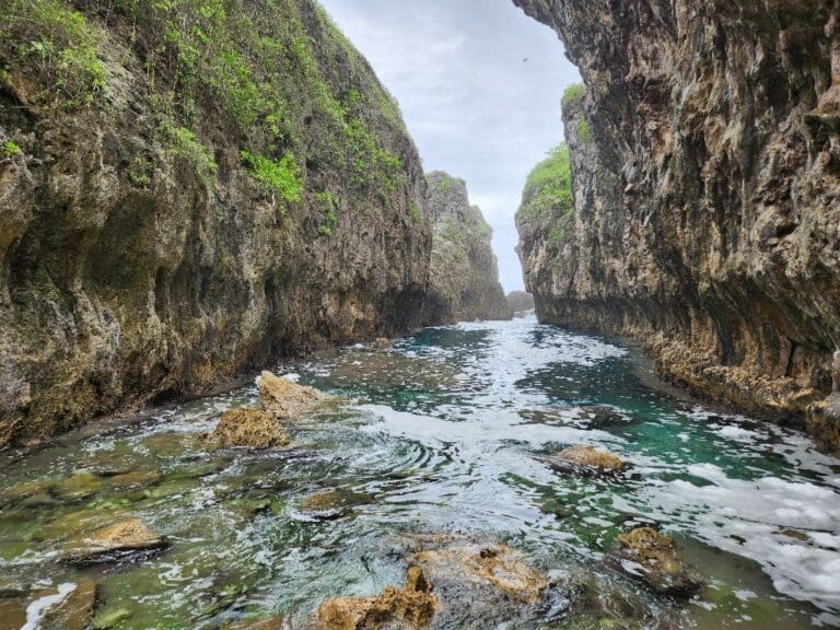 Niue (14)