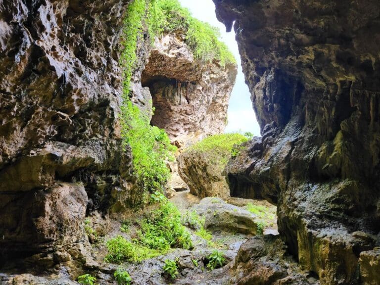 Niue (18)