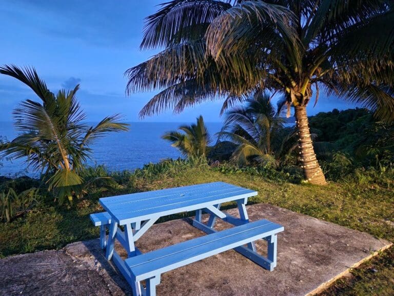 Niue (54)